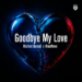 Richard Durand & RinatNevo – Goodbye My Love